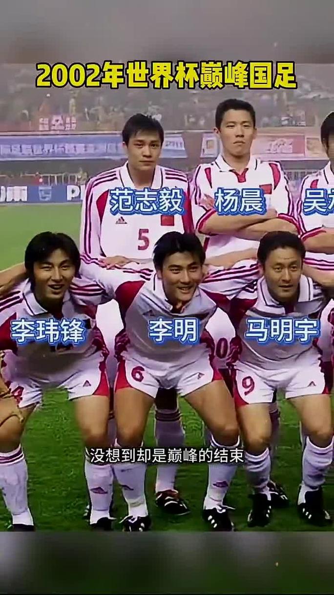 2002世界杯日本名单，2002年世界杯日本阵容？