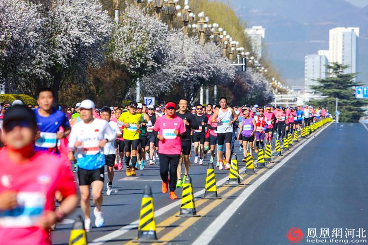 举办马拉松最多的城市，马拉松哪个城市最好