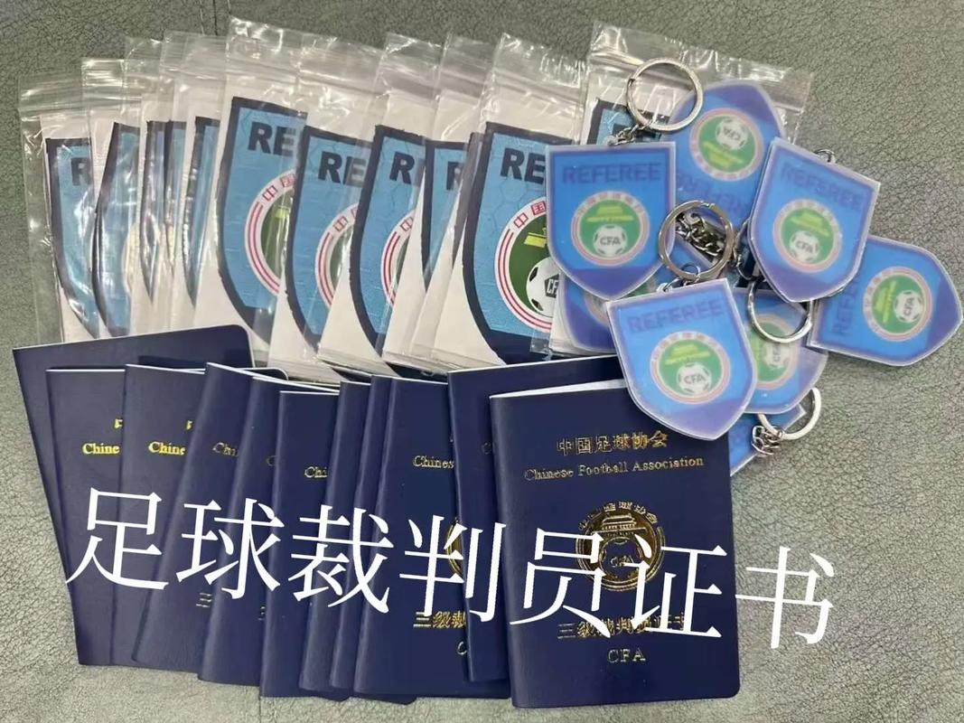 足球裁判查询？足球裁判查询系统？